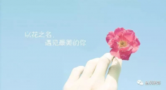 以花之名，遇见最美的你！ — 献给尊龙凯时人生就是搏装饰的女神们！